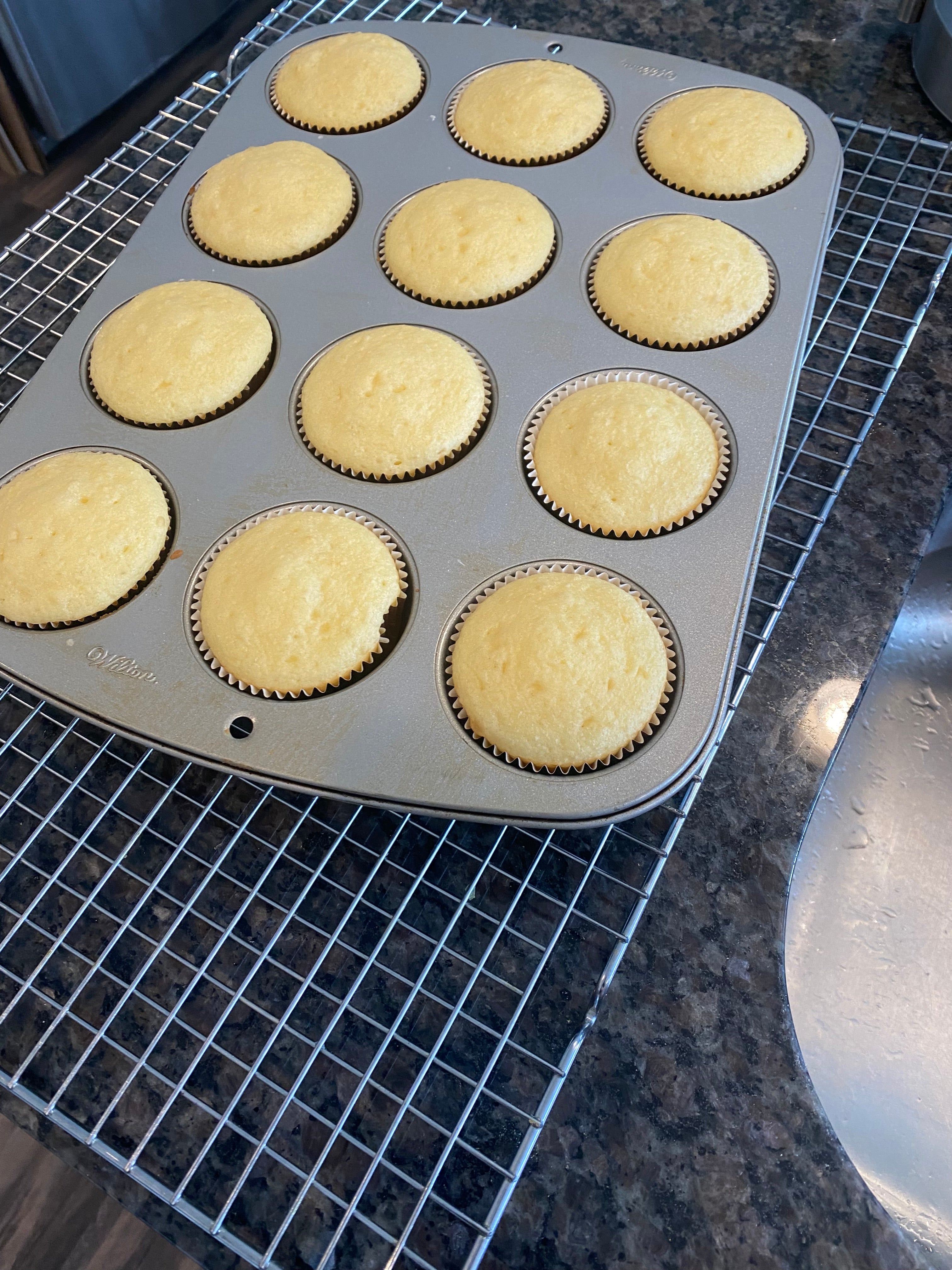 Vanilla Cupcakes